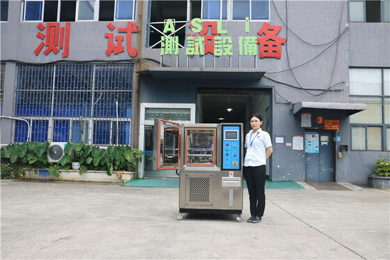 Cámara pequeña de temperatura y humedad constante